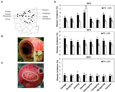 Distinct Transcriptional Programs Underlie Differences in Virulence of Isolates on Host Plants in a Fungal Pathogen, Colletotrichum gloeosporioides